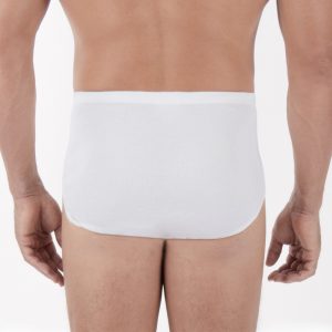 AS1907037 Mens Hipster Brief  Back