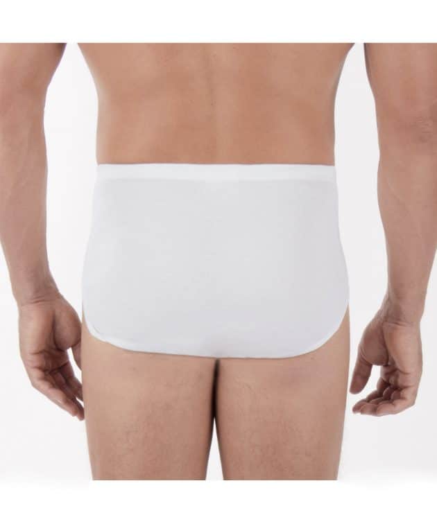 AS1907037 Mens Hipster Brief  Back