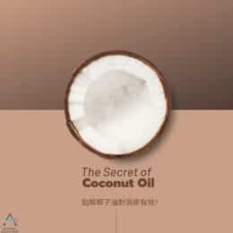 The Secret of Coconut Oil- 椰子油之揭秘 | 椰子油濕疹